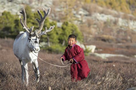 mongolia s forgotten reindeer herders photo tours wild images