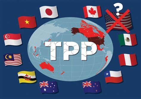The tca profitability program (tpp) is the trucking industry's premier performance improvement solution, fusing tca's popular best practice groups and the powerful ingauge tm online benchmarking platform. Talking sense on the TPP: Coalition business ally breaks ...