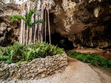 Crystal Cave Guided Tour Cayman Visitor Reservations