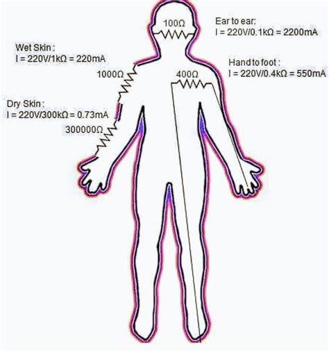 Electrical Resistance Of Human Body 220v Is Just Used For Illustration