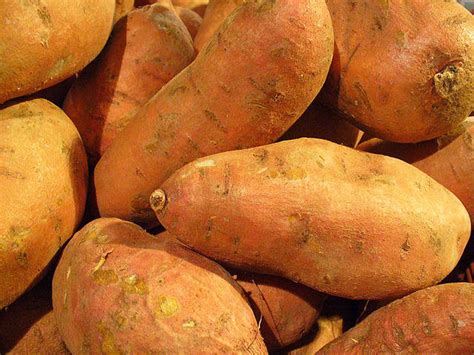 north carolina boosts exports for exotic sweet potatoes wunc