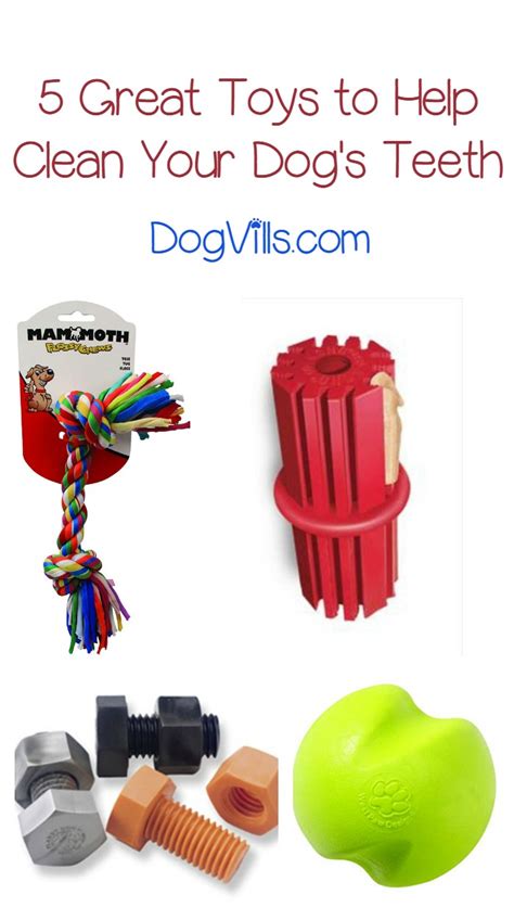 Dog With Bag Of Food In Mouth Best Dog Toys For Cleaning Teeth