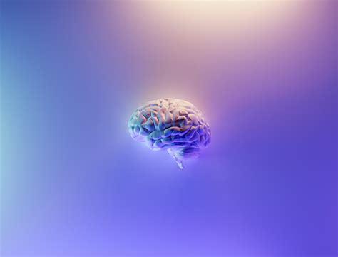 Австралийские ученые записали 15 минут предсмертной активности человеческого мозга Она похожа