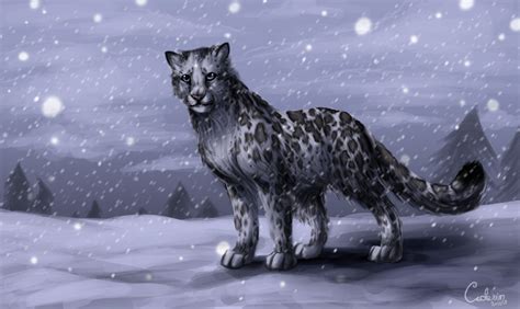 Snow Leopard By Cederin On Deviantart