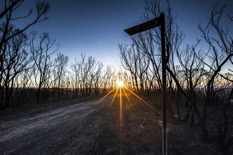 Photographing Burnt Scrub Australian Landscapes Peter Franz Photography