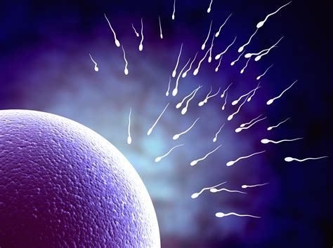 Download Best Sperm Wallpaper By Madisonr Sperm Wallpapers Sperm Wallpapers