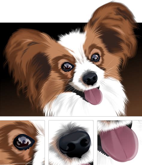 Papillon Butterly Dog Vector Drawing Picture Image Dog Papillon