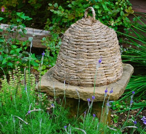 Pin By Lynn Hand On Herb Garden Bee Skep Bee Country Cottage Garden