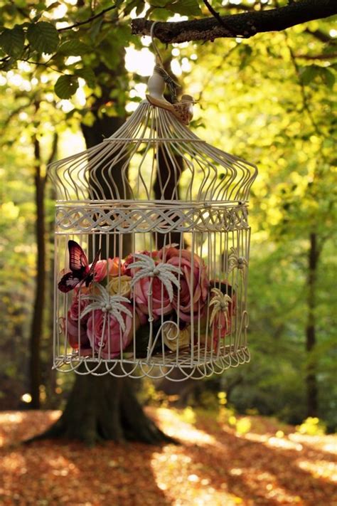 Using Bird Cages For Decor Beautiful Ideas 83 Design Picture