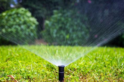 Tips To Conserve Water In Your Landscape Controlled Rain