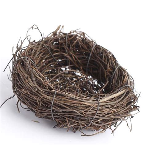 Use them in commercial designs under lifetime, perpetual & worldwide rights. Natural Angel Vine Bird Nest - Birds & Butterflies - Basic ...