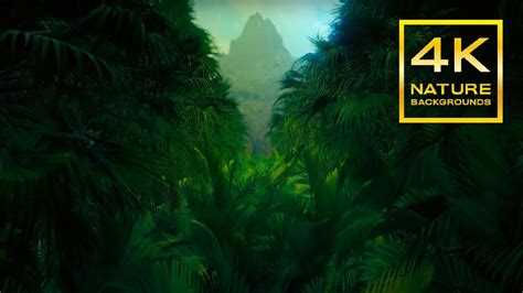 Green Jungle And Tropical Fog 5 Hours 4k Nature Backgrounds Youtube