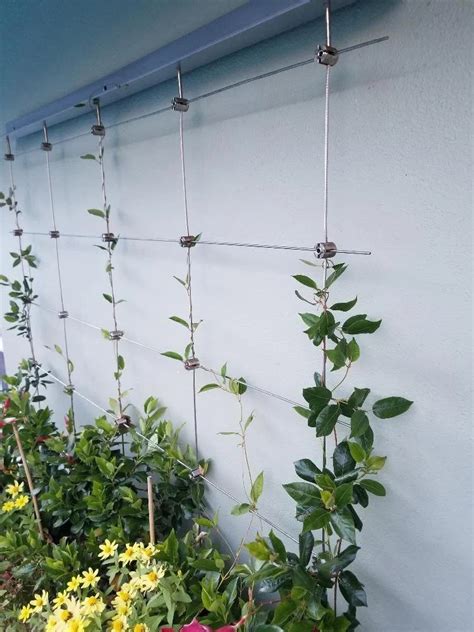 Wall Trellis Kit Wall Design Ideas