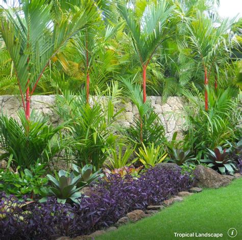 Tropical Garden | Tropical backyard landscaping, Tropical landscaping, Tropical landscape design