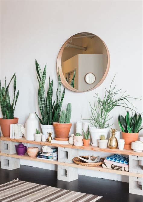 25 Amazing Cactus Home Decor To Improve Your Home Beauty Freshouz