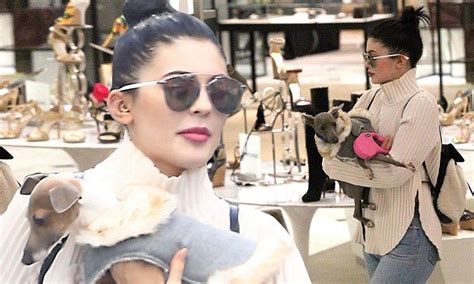 Kylie Jenner And Her Entourage Go On A Shopping Spree With Her Pampered