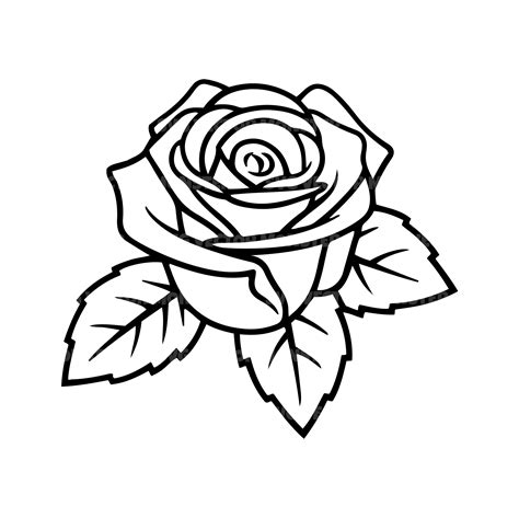 Rose Svg Flower Svg Vector Cut File For Silhouette Cricut Etsy