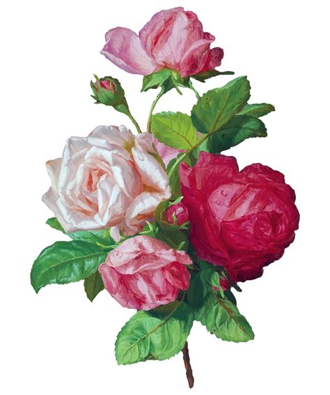 Roses Bouquet Watercolor Painting Free Stock Photo Public Domain Pictures