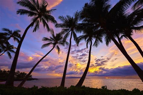 Purple Tropical Sunset Beach Wallpapers Top Free Purple Tropical Sunset Beach Backgrounds