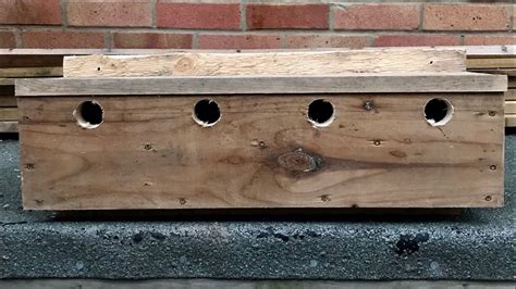 How To Make A Sparrow Nesting Box How To Make A Sparrow Terrace
