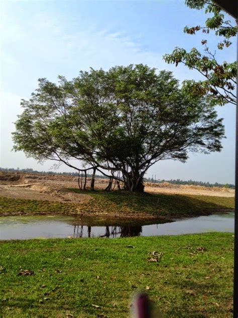 Kita kini sudah mengetahui 1ubin berapa meter, tepatnya meter persegi luas 1 rakit (pantura jawa) = 1000 meter persegi. sutera_indah: Tanah ekar, relong, hektar, kaki, meter???