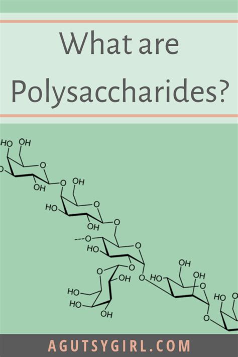 Polysaccharide Vs Monosaccharides A Gutsy Girl