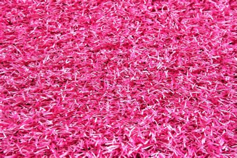 Pink Artificial Grass Play And Learn