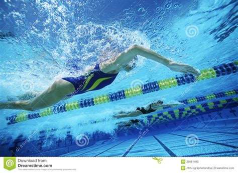 Swimming Team Practicing In Pool Stock Image Image Of Active