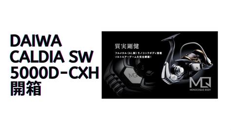 Daiwa Caldia SW 5000D CXH開箱 YouTube