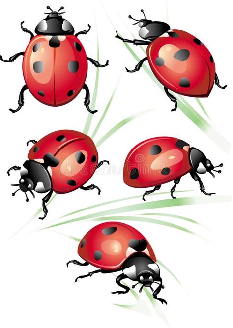 The ladybug tattoo is a great choice for woman who want to get a cute tattoo design. Pin by Colleen Mayer DeLost on iPhone wallpaper | Ladybug ...