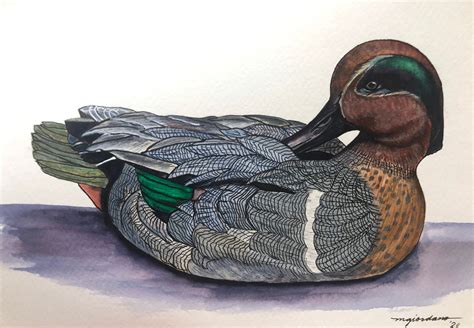 Green Wing Teal Decoy Giclee Print Etsy