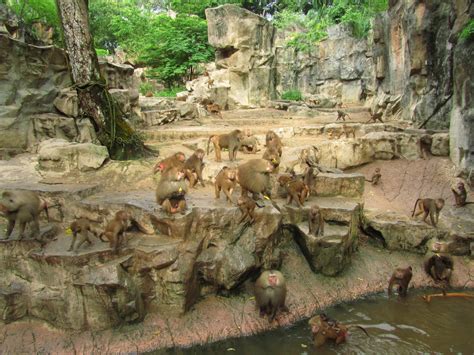 A Year Of Living: Best Zoo In The World!