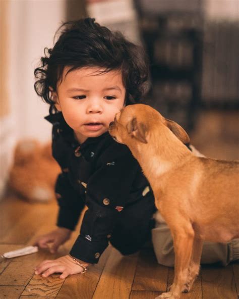 3 Smart Tips On How To Introduce Your New Baby To Your Pet Val Heart