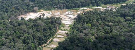 Goldminers Overrun Amazon Indigenous Lands As Covid 19 Surges
