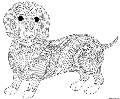 Coloriage Chien Saucisse Dachshund Teckel Mandala Animaux