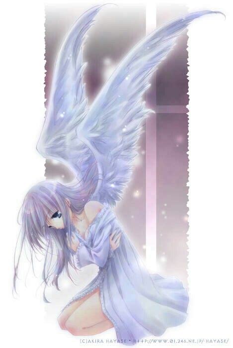 Pin By Ruat Ruati On Animee Anime Angel Girl Anime Angel Anime