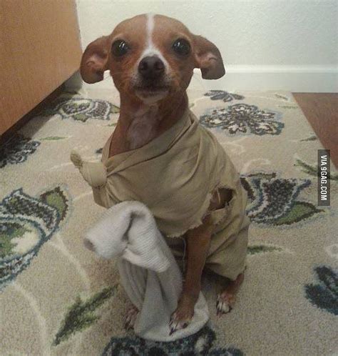 Dobby Has Got A Sock Master Gave It To Dobby Dobby Is Free 9gag By