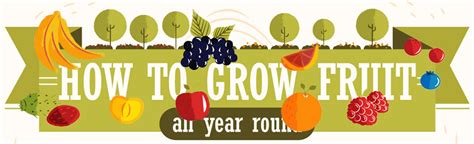 how to grow fruits in your garden all year round [infographic]