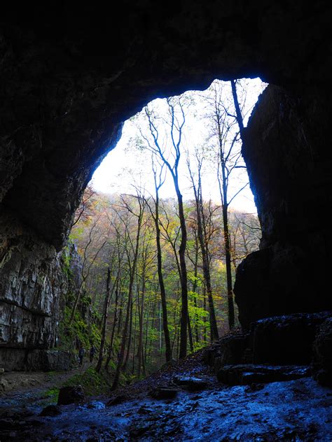 Nature Cave Forest