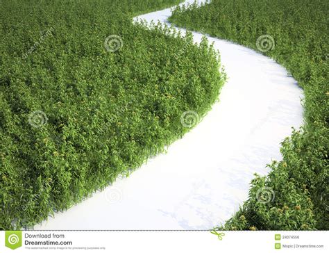 Meadow Path Stock Photo Image Of Grow Flower Green 24074556