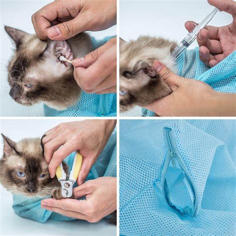 Maybe you would like to learn more about one of these? Cat Anti-Scratch Restraint Bag for Cleaning, Injections ...
