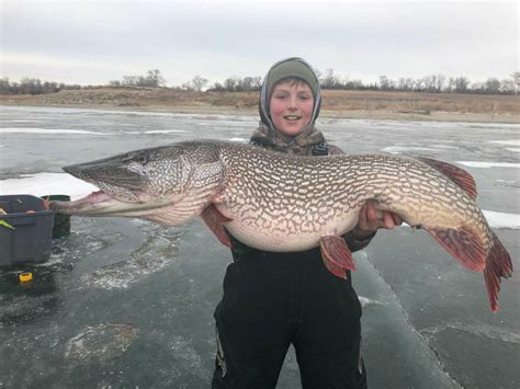 3008 Pound Northern Pike Pulled Through The Ice In South Dakota R