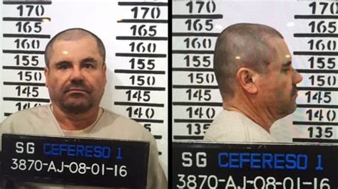 Así Está El Chapo Guzmán En La Cárcel Mosaico Csi