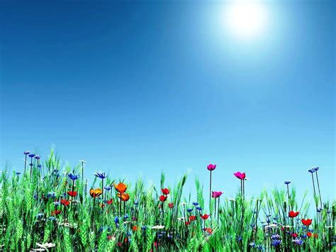 You can choose the image format you need and install it on absolutely any device, be it a smartphone, phone, tablet, computer or laptop. Best D Wallpapers Collection Moving desktop backgrounds ...