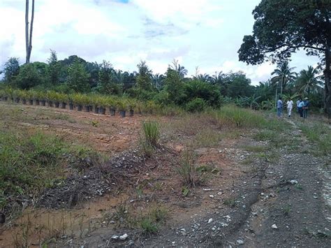 Lakaran/plan menunjukkan kedudukan atau tapak sebenar projek. SHIN PROPERTY: PROJEK MEMBANGUN, MEMBINA DAN MENJALANKAN ...