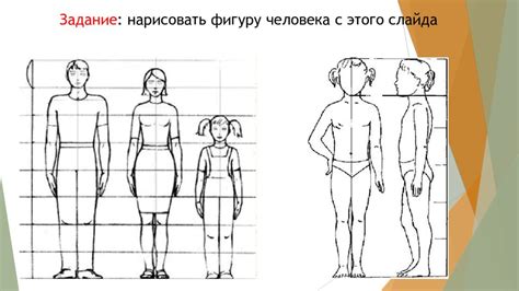 Пропорции фигуры человека — презентация