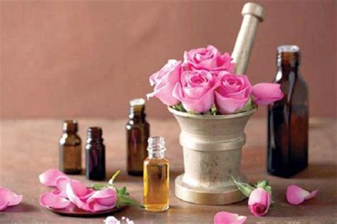 We offer modern, parisian style bouquets filled with the most vibrant flowers. Rose petals for sale | Where To Find Rose Petals In Bulk ...