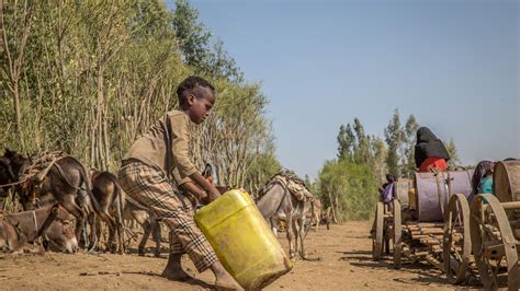 Ethiopia Drought An Immediate Threat International Rescue Committee