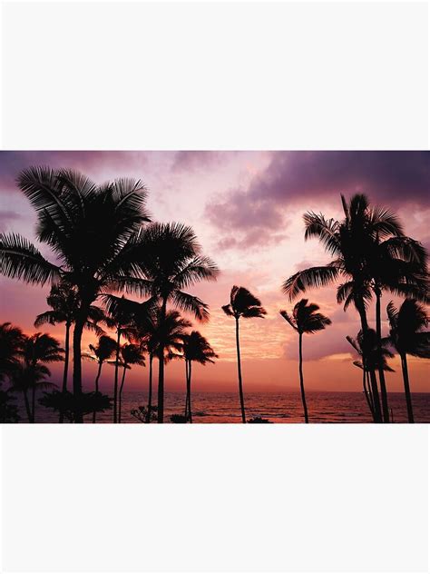Tropical Ocean Sunset Palm Trees Canvas Print For Sale By