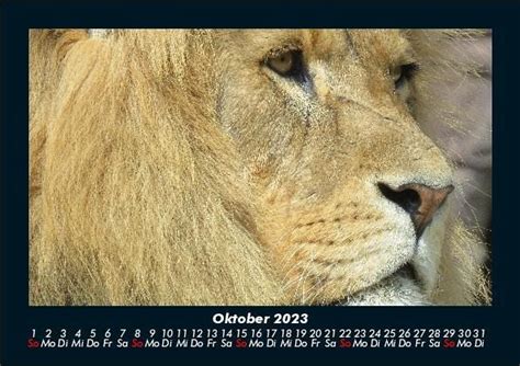 Tierkalender 2023 Fotokalender Din A5 Von Tobias Becker Kalender